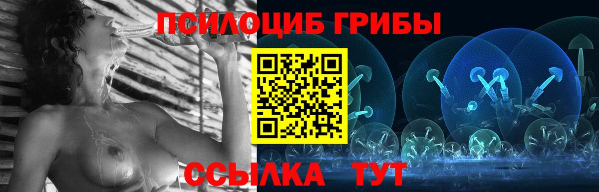 Псилоцибиновые грибы GOLDEN TEACHER Сарапул